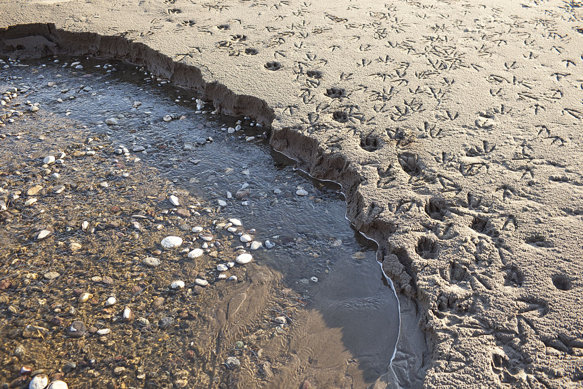 JareckeTHI.YellowstoneRiverCopyright2012