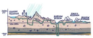 NYTNYCWater