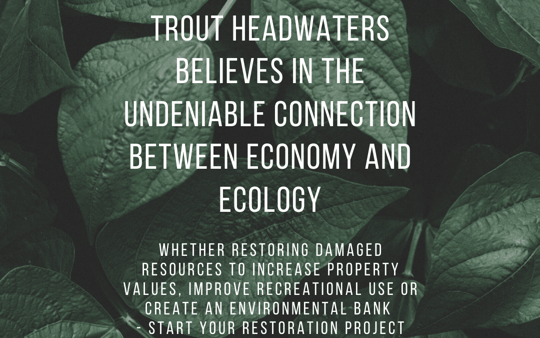 EconomyandEcology undeniable connection