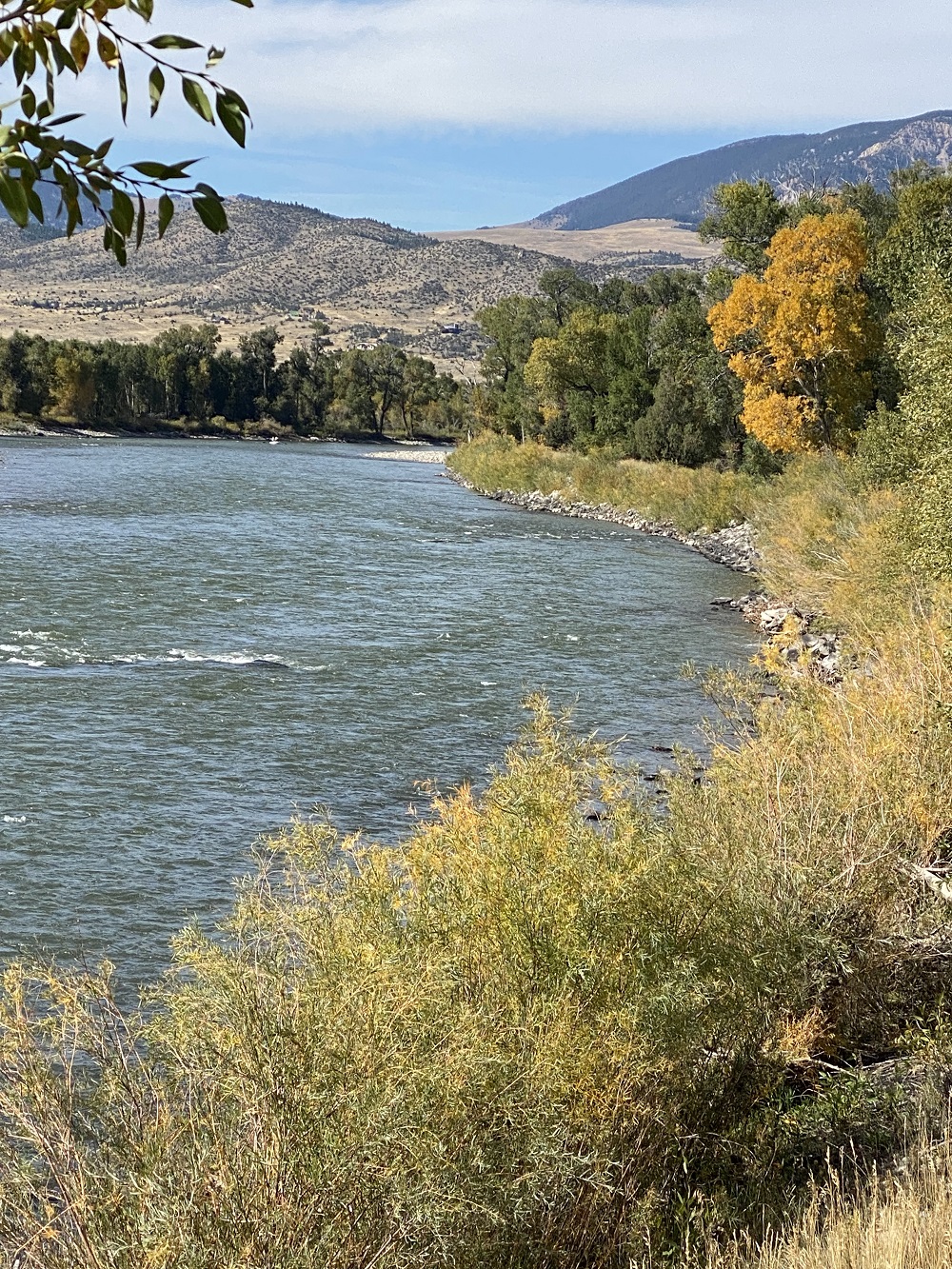 Carrstreambank20221004