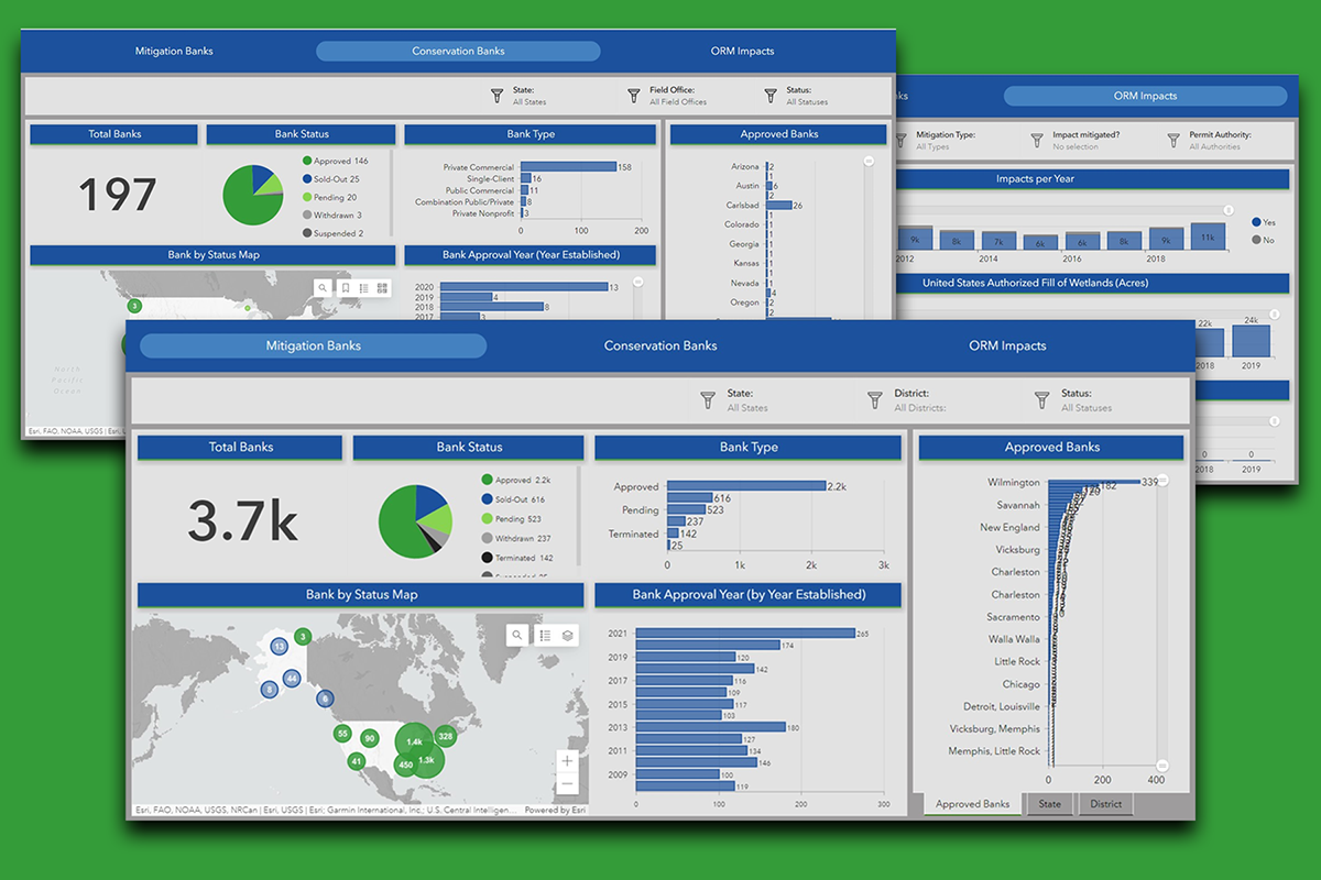 Bank-Dashboards